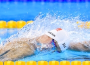 反败为胜首场状态出色，快船观众沸腾！，费德勒重返赛场赛场气氛高涨的简单介绍